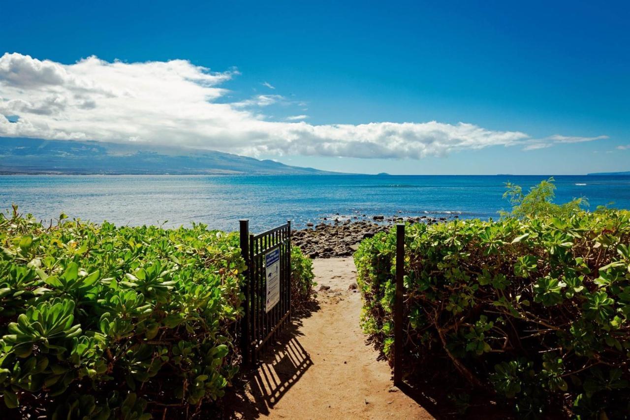 Stunning Maui Direct Ocean Front On The Beach, Walk To Beach From Condo, Watch Turtles, Whales, Ac In All Rooms Ocean View Pool And Spa Wailuku Bagian luar foto